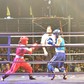 Giải vô địch các đội mạnh toàn quốc môn kickboxing khai mạc hấp dẫn tại Vũng Tàu