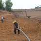 Hơn 2.100 ha cây trồng ở Lâm Đồng bị ảnh hưởng do hạn hán, thiếu nước tưới