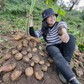 Nữ TikToker triệu view giúp bà con Tây Bắc tiêu thụ nông sản