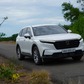 Crossover cỡ trung: Doanh số Honda CR-V vượt Ford Territory, Mazda CX-5 vẫn 'độc tôn'