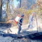 Hơn 6 giờ khống chế đám cháy tại bìa rừng Vườn quốc gia Phú Quốc