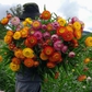 Nhiều người tìm mua hoa bất tử về trang trí