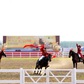 Ra mắt Học viện cưỡi ngựa chuẩn quốc tế tại Vinhomes Royal Island