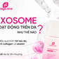 
Serum trị nám PageOne Tranacide Pro + Exosome có thật sự hiệu quả chỉ sau 6 tuần? 