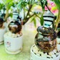 Người đàn ông khéo tay trình làng dừa bonsai hình rắn ngậm ngọc ở TP.HCM dịp tết