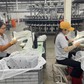 Người trẻ lo 'chưa giàu đã già'
