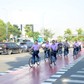 Khánh thành gần 6 km làn đường riêng cho xe đạp đầu tiên tại TP.HCM