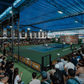 Pickleball D-Joy Vietnam Masters - Petrolimex Cup: Đỉnh cao Pickleball Việt Nam