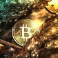 CZ nói cha đẻ Bitcoin là AI, không phải con người