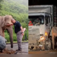 Malaysia tìm giải pháp sau khi voi con bị xe tông chết vì băng ngang xa lộ