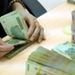 Thêm một cổ phiếu giá 700 đồng nhưng cổ tức gấp 4 lần