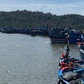 Cần sớm gỡ nút thắt cảng cá
