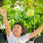 Trồng rau sạch trên sân thượng: Gia đình ăn không hết, phải... bán bớt