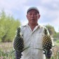 Trồng khóm hữu cơ kết hợp nuôi ốc lác, nông dân miền Tây kiếm bộn tiền