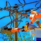 Giá bán lẻ điện sinh hoạt giảm còn 5 bậc, cao nhất gần 4.000 đồng/kWh