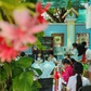 Những trường học đẹp như công viên ở TP.HCM