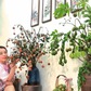 Không ngờ cắm trái cây cũng 'viral', cô giáo Phú Thọ gây sốt mạng xã hội