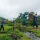 Sức trẻ trên những ngôi nhà mới
