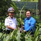 Bàn giao công trình thanh niên 'Dừa Bến Tre với biển, đảo quê hương'