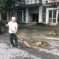 Người lính cụ Hồ và 19 năm hành trình xanh thầm lặng