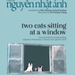 Nguyễn Nhật Ánh: Người làm vườn
