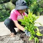 Những 'thiên thần nhỏ' gieo mầm yêu thương