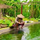 Bỏ phố về quê sau biến cố, chàng trai tạo dựng khu vườn trồng rau nuôi cá