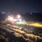 Người dân Quảng Trị xuyên đêm gặt lúa, 'chạy đua' với bão số 5