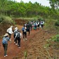 Đi leo núi, trekking trong rừng không được quên những điều này