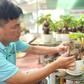 Biến trái dừa khô thành bonsai 12 con giáp: Ý tưởng lạ hút khách tết