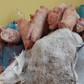 Hải quan chặn 1,5 tấn chân giò, xúc xích bẩn nhập lậu có dấu hiệu phân hủy