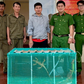 Một người dân tự nguyện giao nộp 10 con rồng Nam Mỹ cho công an