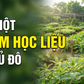 Cùng sống xanh 170: Đánh thức tiềm năng dược liệu Việt từ mô hình giáo dục trải nghiệm