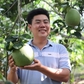 9X cho bưởi da xanh 'sinh đẻ có kế hoạch', thu khoảng 8 tỉ đồng/năm
