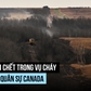 4 người chết trong 'thảm kịch nghiêm trọng' ở căn cứ quân sự Canada