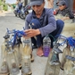 Danh thắng đầm Ô Loan: Lạ kỳ đèn dầu gọi tôm của 'ngôi làng cô đơn'