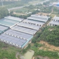 Quảng Trị: Khổ vì ruồi