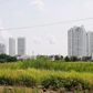 Rà soát nhà, đất của các doanh nghiệp Nhà nước