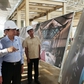 Chủ tịch Quốc hội yêu cầu hỗ trợ nhà đầu tư đưa công trình APEC về đích trước 30.6.2027
