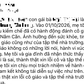 Bà nội đến lớp xé áo, đánh cô giáo, bị phạt 11,25 triệu đồng
