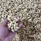 Xuất khẩu nhiều nhất thế giới, vì sao ngành điều Việt Nam vẫn bị ép giá?