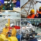 Nhà nước tiếp tục giữ 100% vốn tại các Tập đoàn EVN, PVN, TKV, VEC...