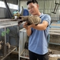 Từ lái xe thuê đến cơ ngơi nuôi chồn hương thu nhập hàng trăm triệu đồng