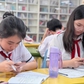 TP.HCM: Tuyển giáo viên các môn còn thiếu, tăng tư vấn tuyển sinh lớp 10