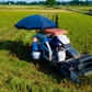 Hà Nội lập kế hoạch phát triển kinh tế tập thể, hợp tác xã năm 2027