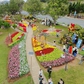Festival Hoa Đà Lạt 2026 có gì mới?