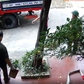 Tự ý đưa cây cảnh trên đất của dân đi, chính quyền phường xin lỗi