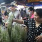 Loại hoa nào giá 200.000 - 250.000 đồng, bán chạy nhất chợ Hồ Thị Kỷ tết này?