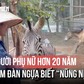 Người phụ nữ hơn 20 năm chăm đàn ngựa biết 'nũng nịu'