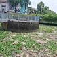 Rác và lục bình ngập kênh Nhiêu Lộc - Thị Nghè